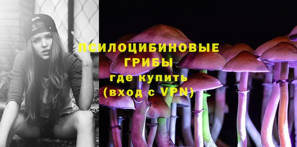герыч Алексин