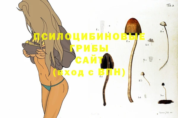 герыч Алексин