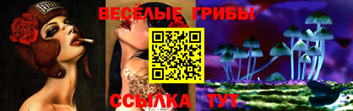 Галлюциногенные грибы мухоморы  Вход с VPN  Новоуральск 