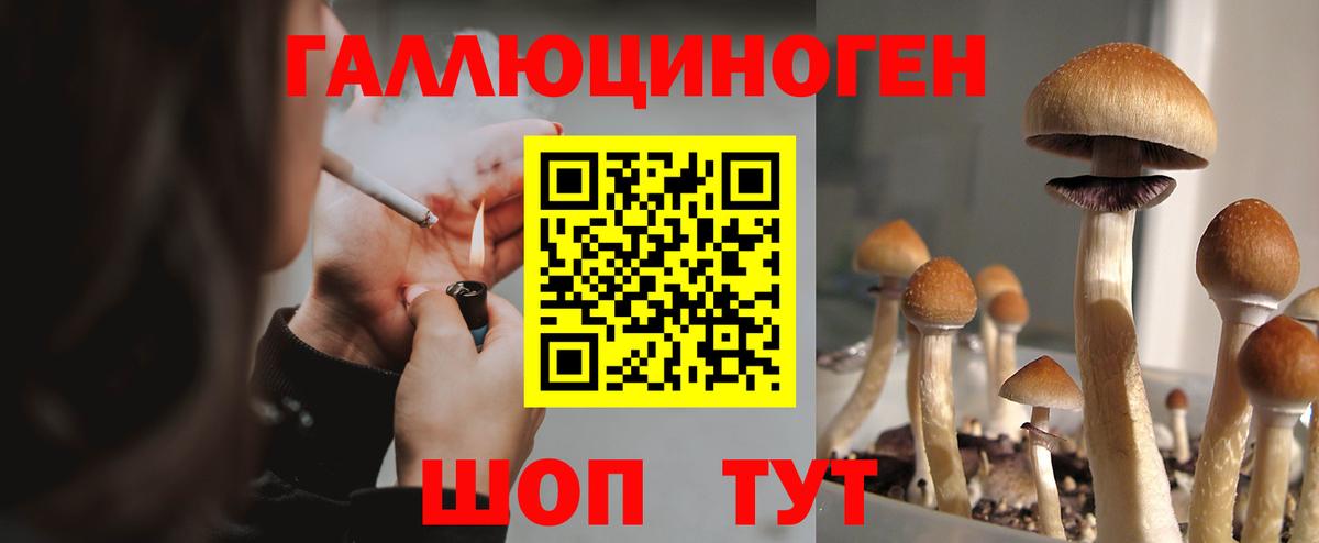 Псилоцибиновые грибы прущие грибы Новоуральск